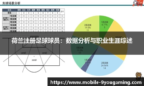 荷兰注册足球球员：数据分析与职业生涯综述